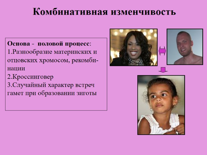 Комбинативная изменчивость Основа -  половой процесс: 1.Разнообразие материнских и отцовских хромосом, рекомби-нации 2.Кроссинговер